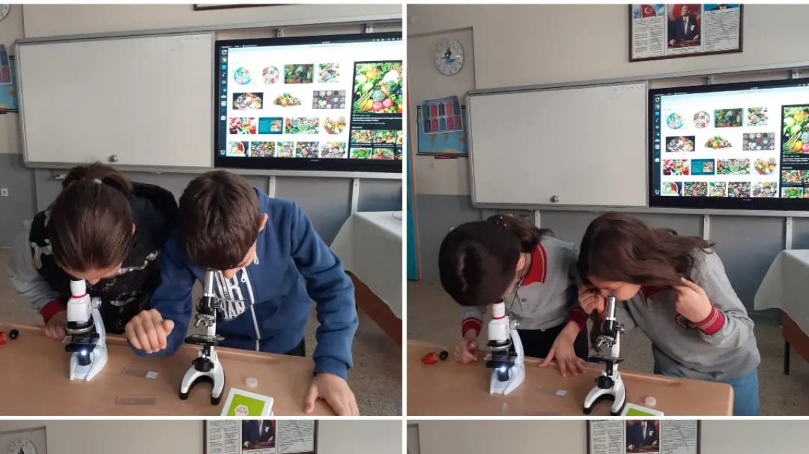 4-C Sınıfı Öğrencilerimiz Mikroskop İle Besinleri İnceliyor